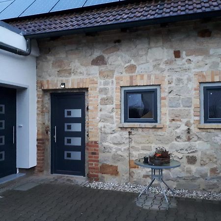 Ferienwohnung Gaensebluemchen Wartenburg Dış mekan fotoğraf