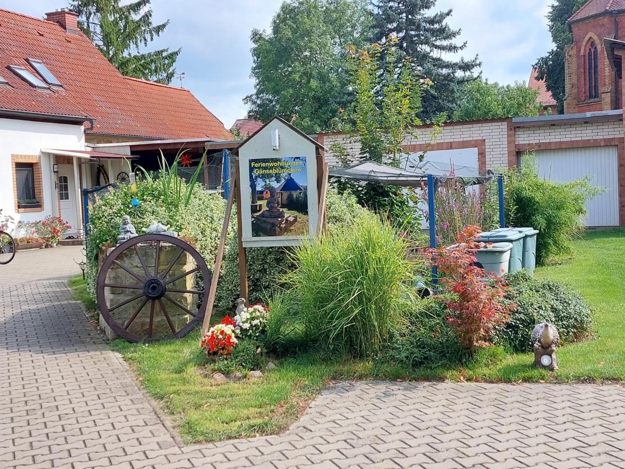 Ferienwohnung Gaensebluemchen Wartenburg Dış mekan fotoğraf